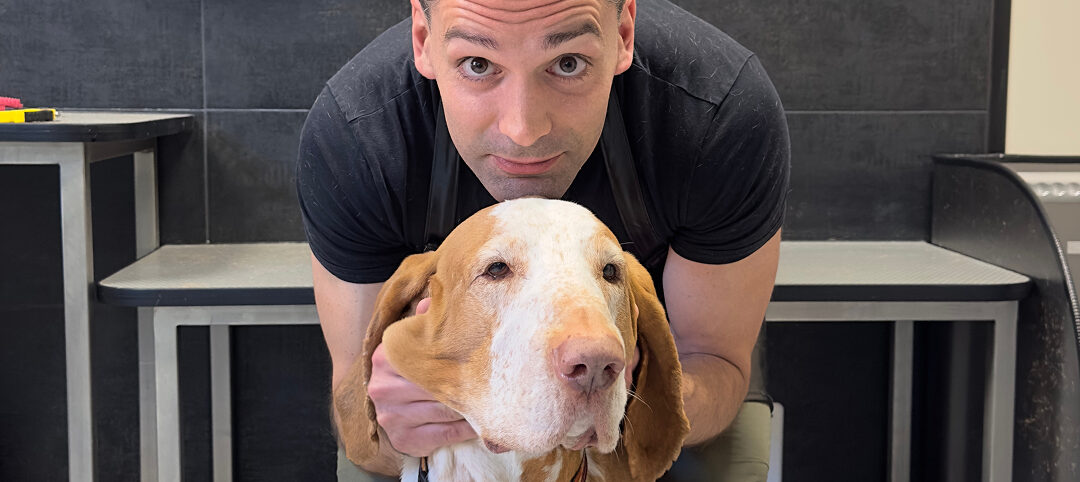 Brand Identity chiara e un piano editoriale efficace